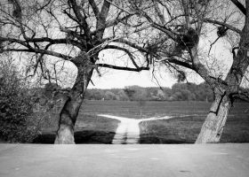landschaft004.jpg