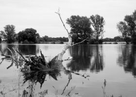 landschaft001.jpg