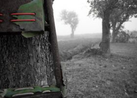 landschaft009.jpg